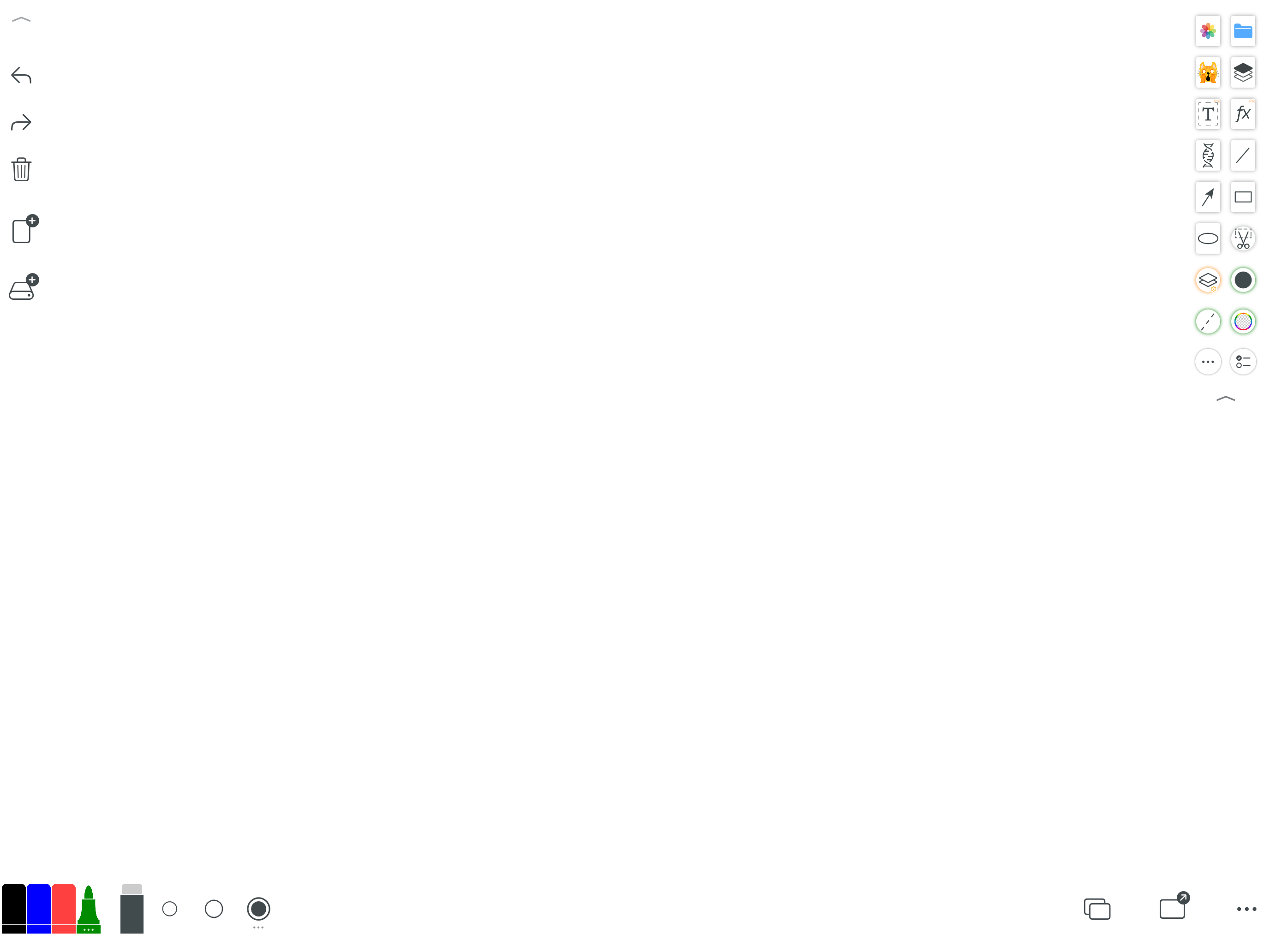 Whiteboard clean canvas on an iPad in landscape